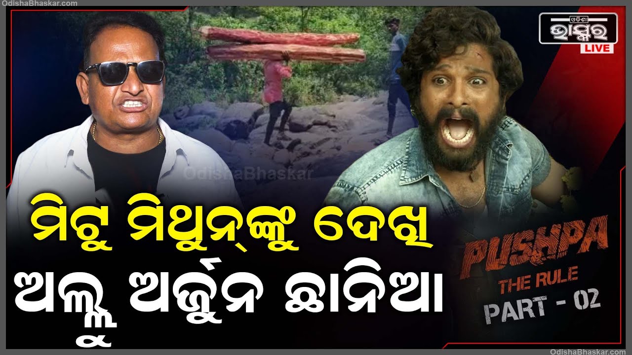 ପୁଷ୍ପା-2ରେ ମିଟୁ ମିଥୁନଙ୍କ ଅଭିନୟ ଦେଖି ଛାନିଆ ହେଇଗଲେ ଅଲ୍ଲୁ ଅର୍ଜୁନ  ALLU ARJUN MITU MITHUN PUSHPA-2