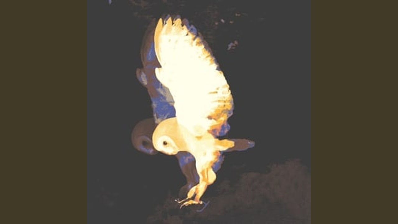 3DB