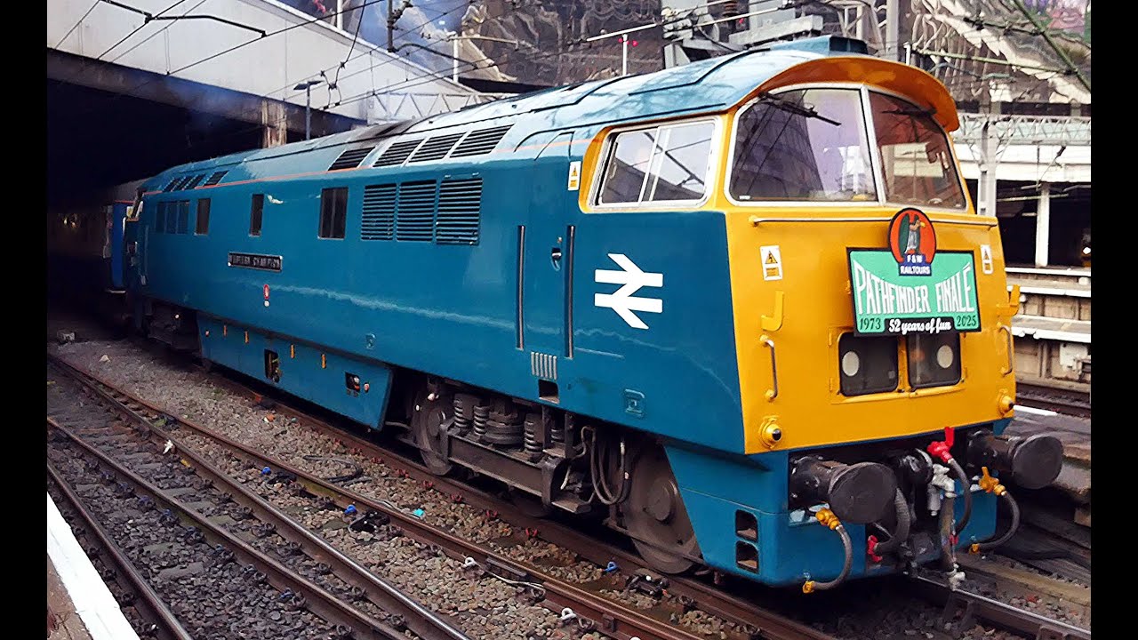 D1015 