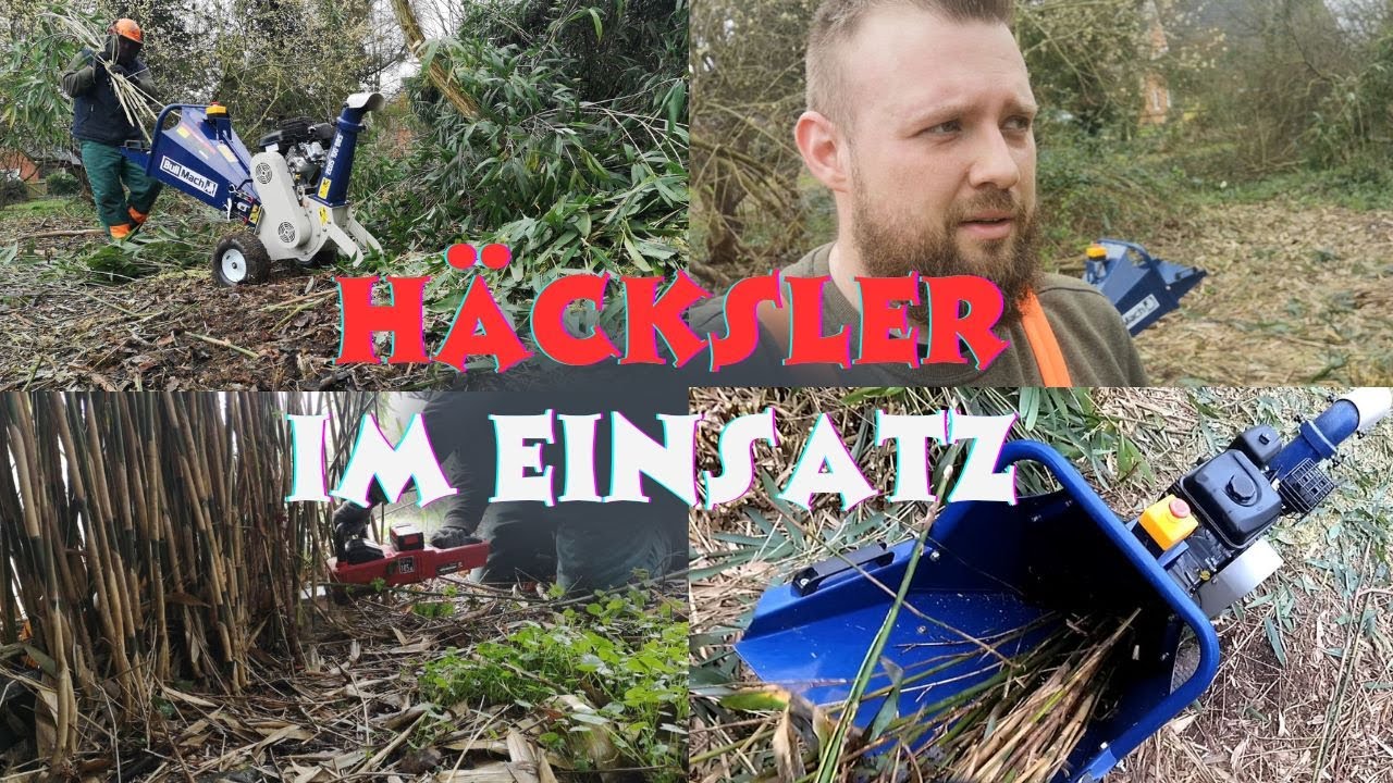 Bambus vs. Häcksler | Erste Belastungsprobe | BullMach ZEUS 100/Hercules 65 B&S