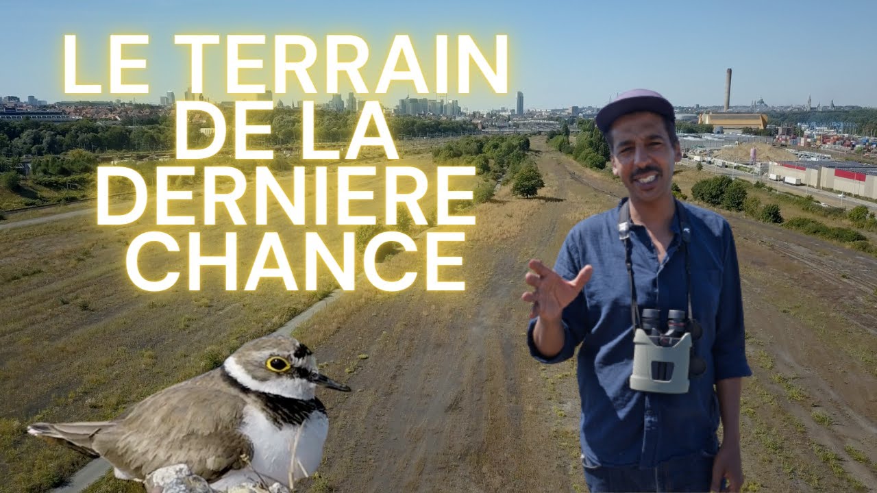 SCHAERBEEK FORMATION ou le terrain de la DERNIERE CHANCE