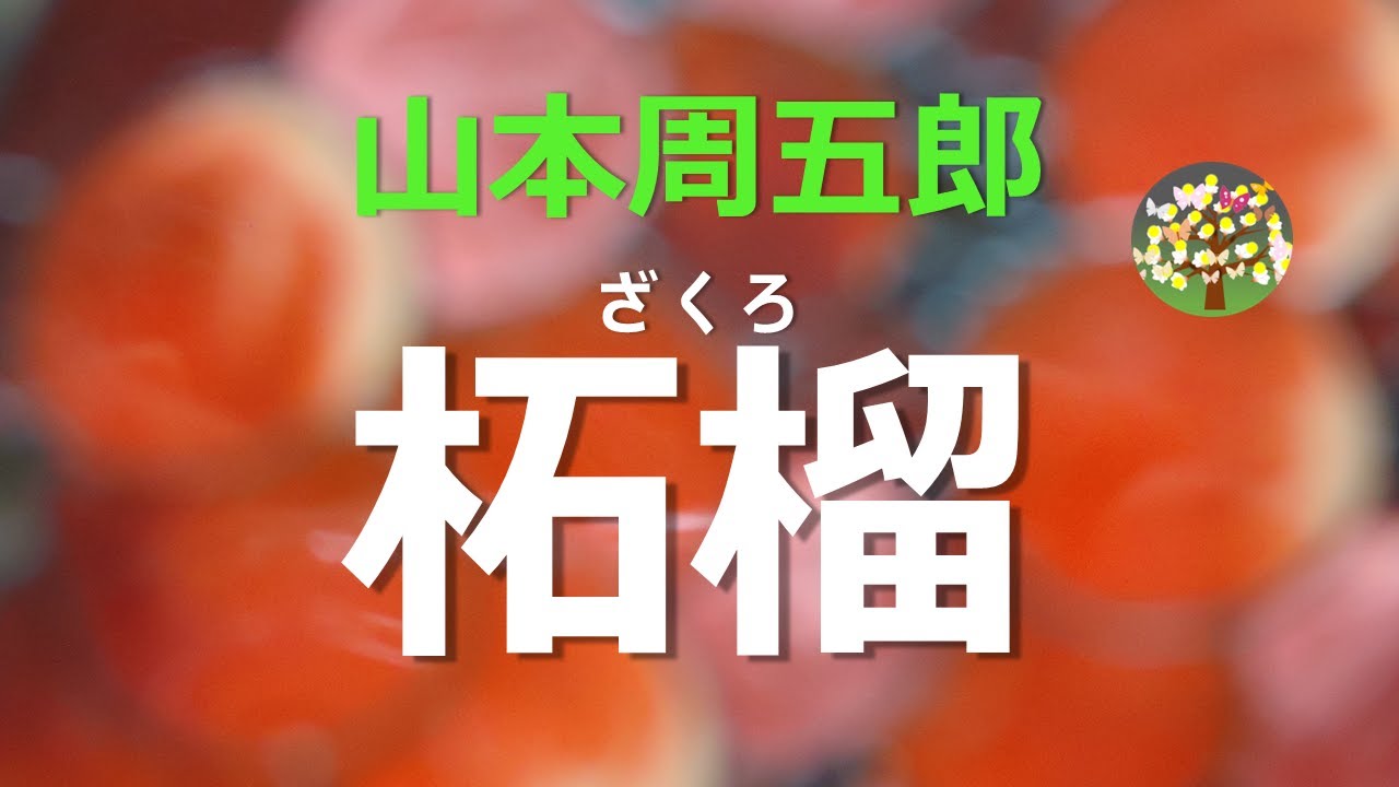 【朗読】山本周五郎　若妻にはおぞましいとさえ思えた良人との暮らしも、老境にいたり・・・