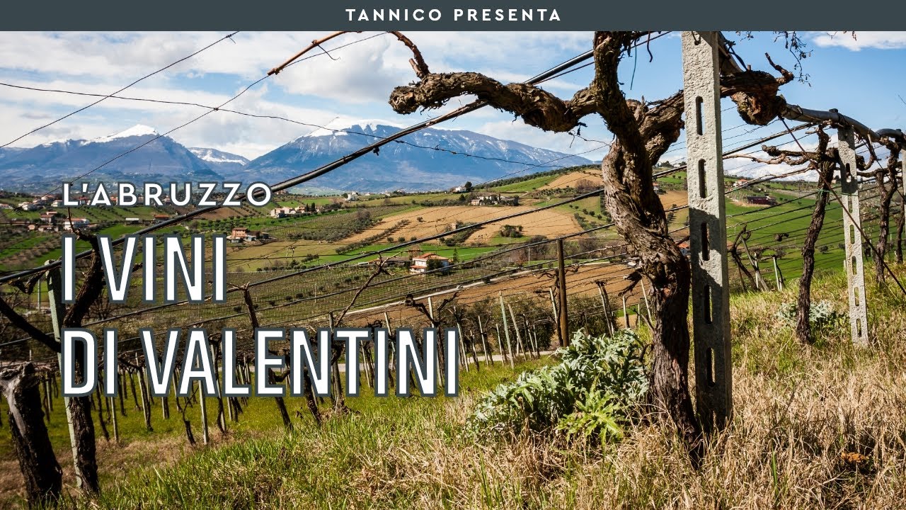 Valentini, l’artigiano del Trebbiano d'Abruzzo | Tannico