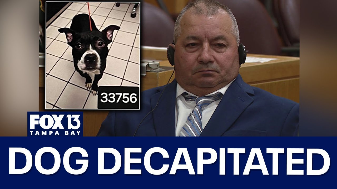 Florida man accused of decapitating dog heads to trial