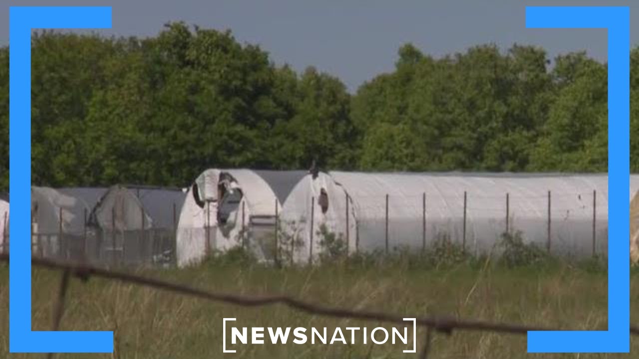 Китайские организованные преступные группировки нацелились на Оклахому | Репортаж Элизабет Варгас