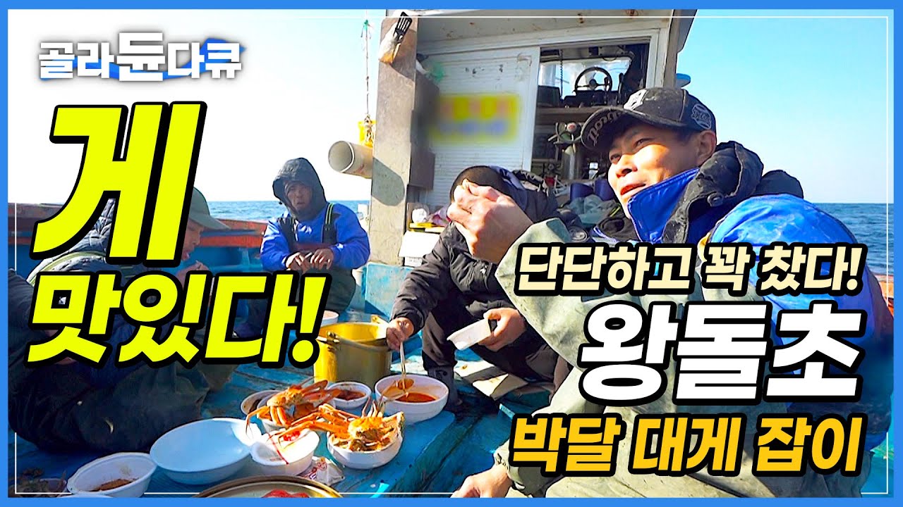 4명의 베트남 선원들과 살 꽉 찬 대게 잡는 바다 사나이│거스를 수 없는 파도처럼 돌고 돌아 결국 바다│욕심 없이 제대로 야무지게!│왕돌초 대게 잡이│바닷가 사람들│#골라듄다큐