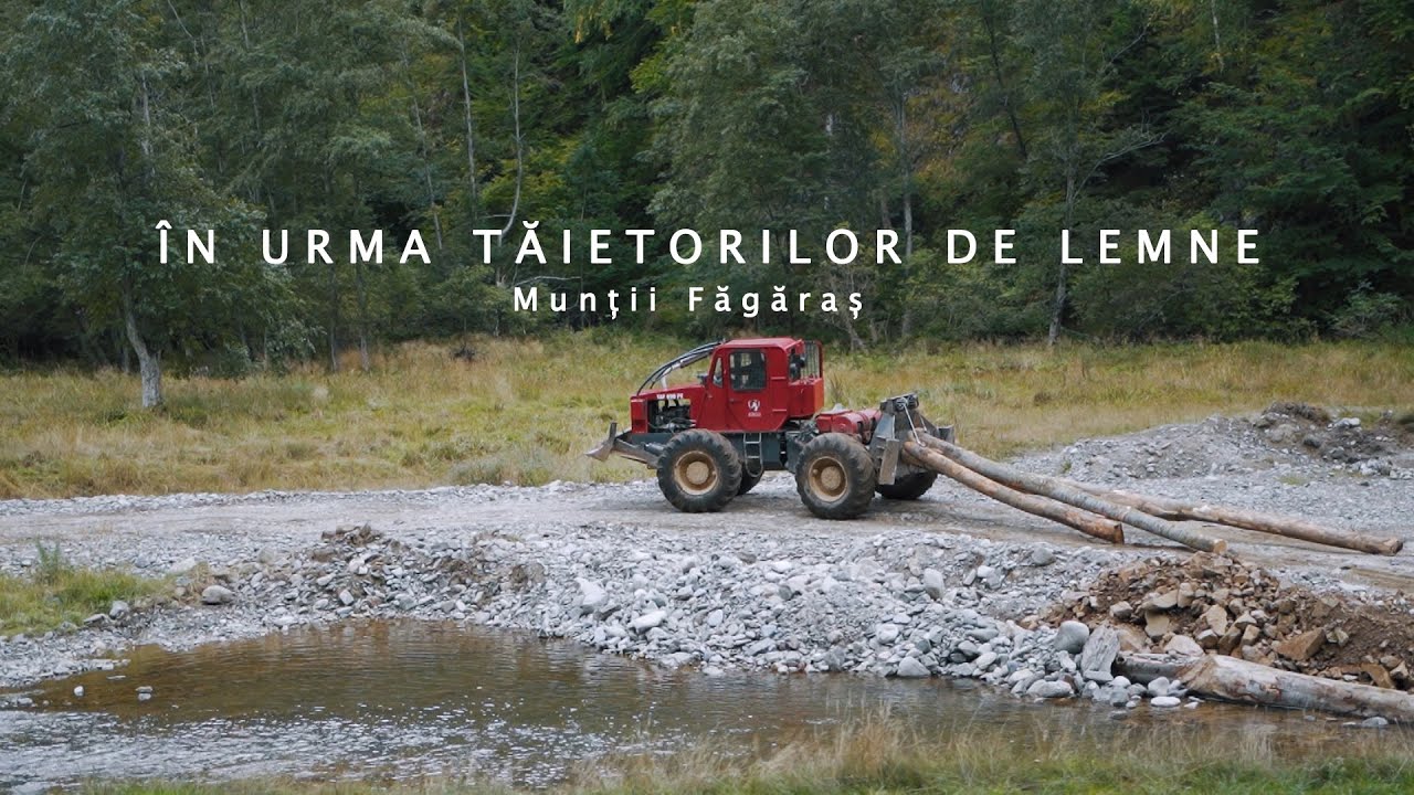 In urma taietorilor de lemne din Muntii Fagaras