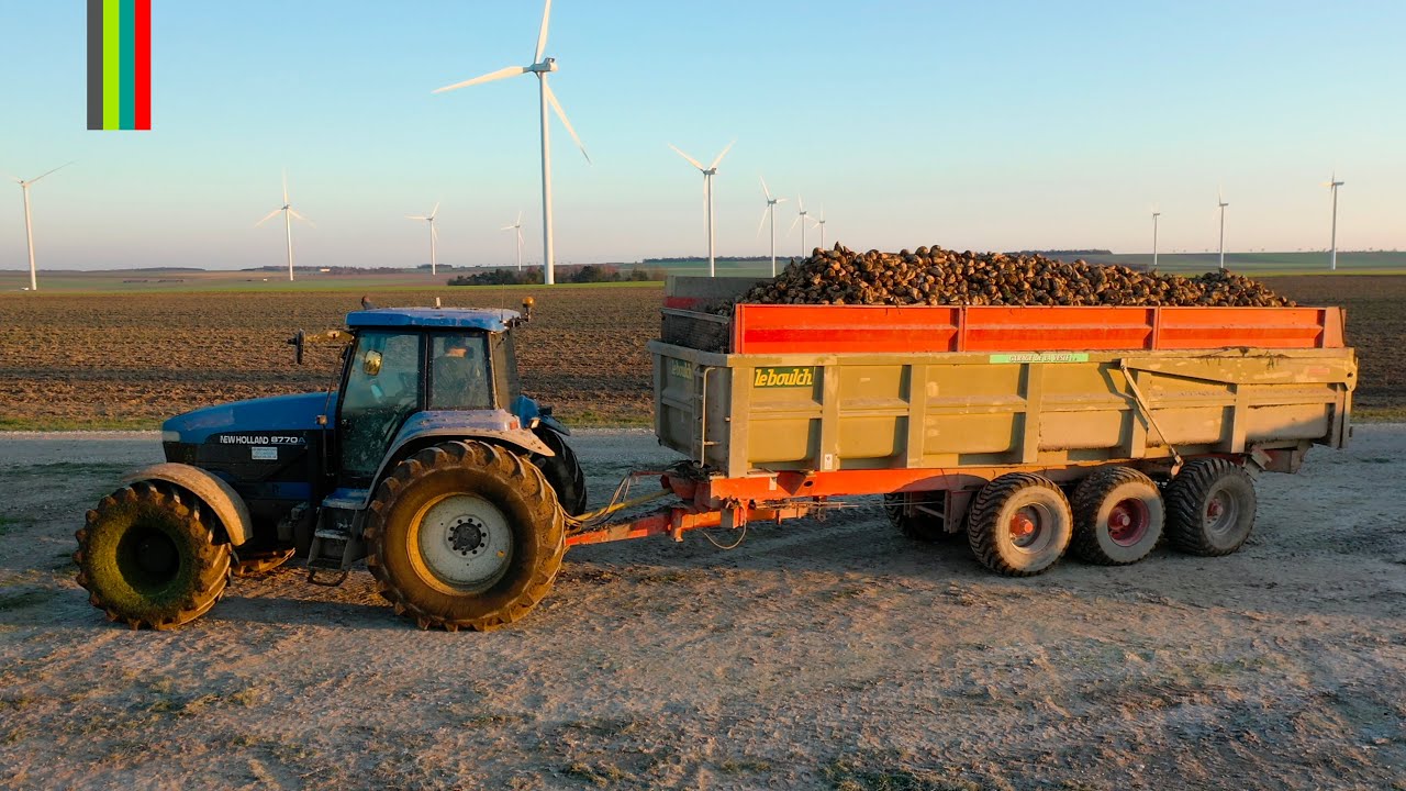 Arrachage de betteraves 2021 | 3 CHANTIERS | HOLMER T3, Moreau Lectra V2, NH 8770, FENDT...