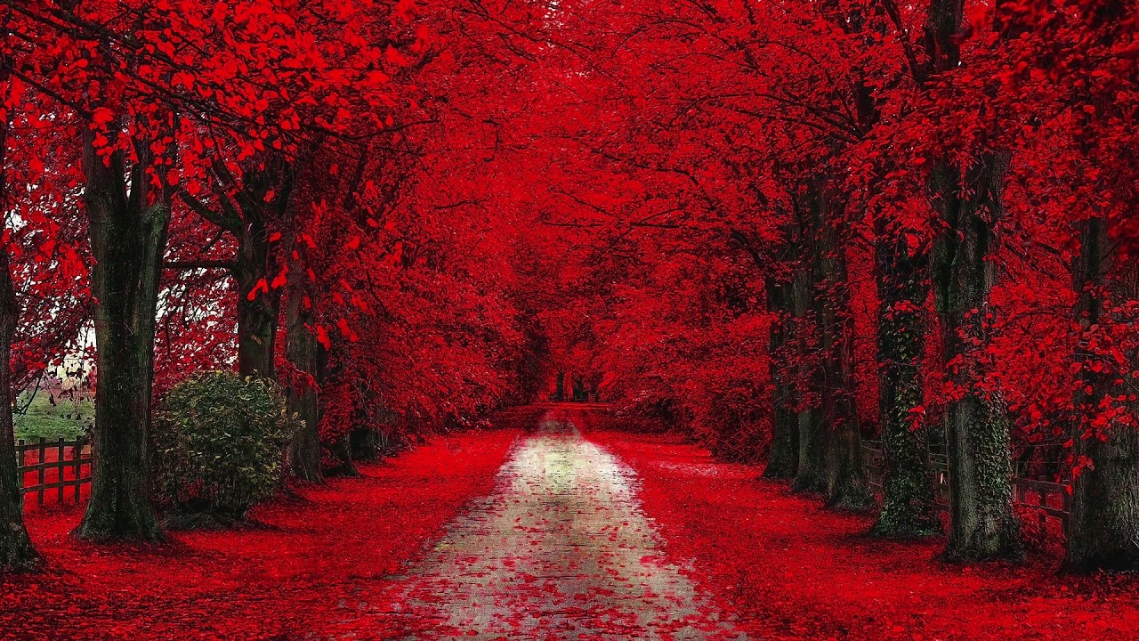 Yungxchris - Blood on the leaves *INSTRUMENTAL* (Remake) Best Mix Prod. by Grilla Beatz