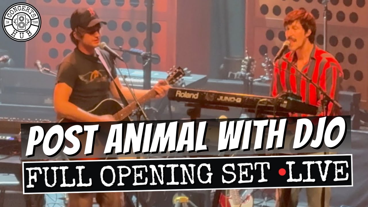 Post Animal Full Opening Set with Djo LIVE