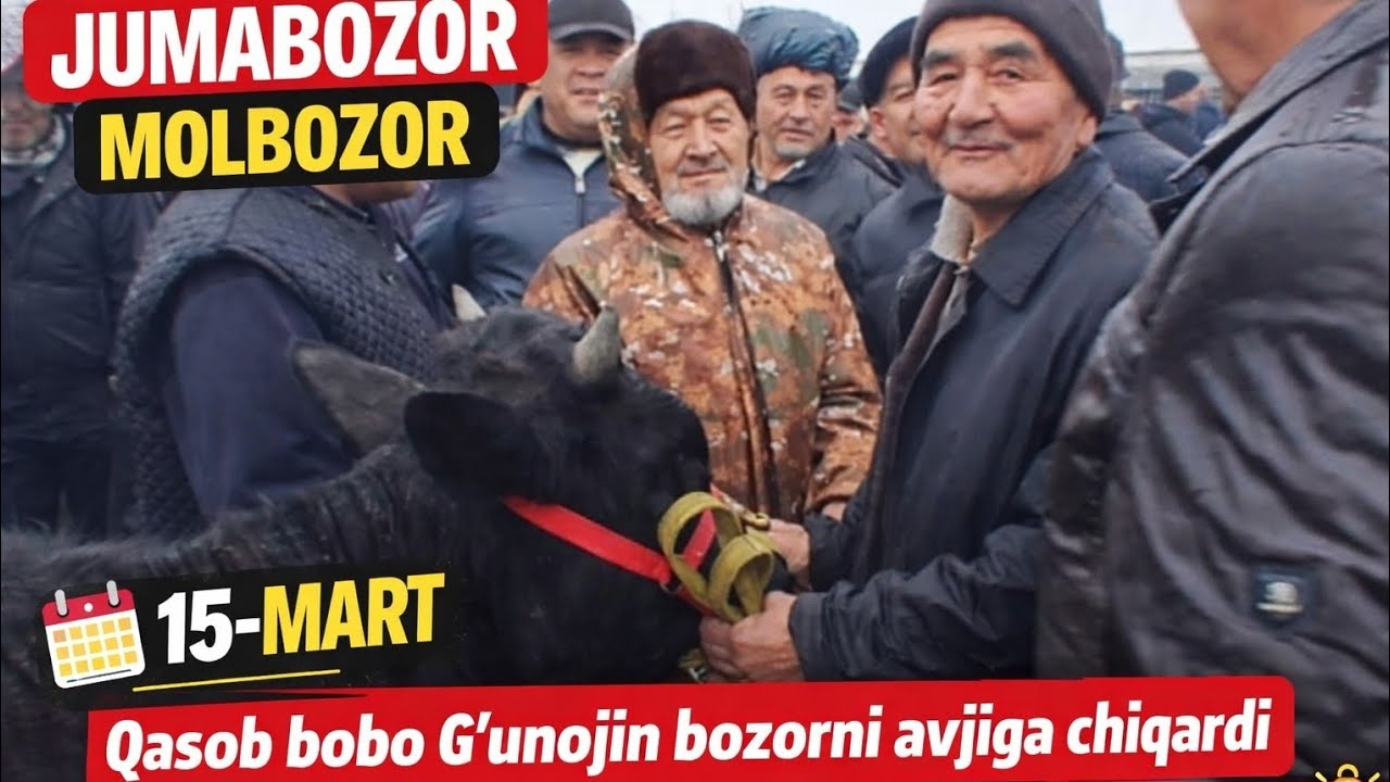 🔥 Jumabozor Molbozor G'unojinlar Narxlari | 15-Mart 🔥