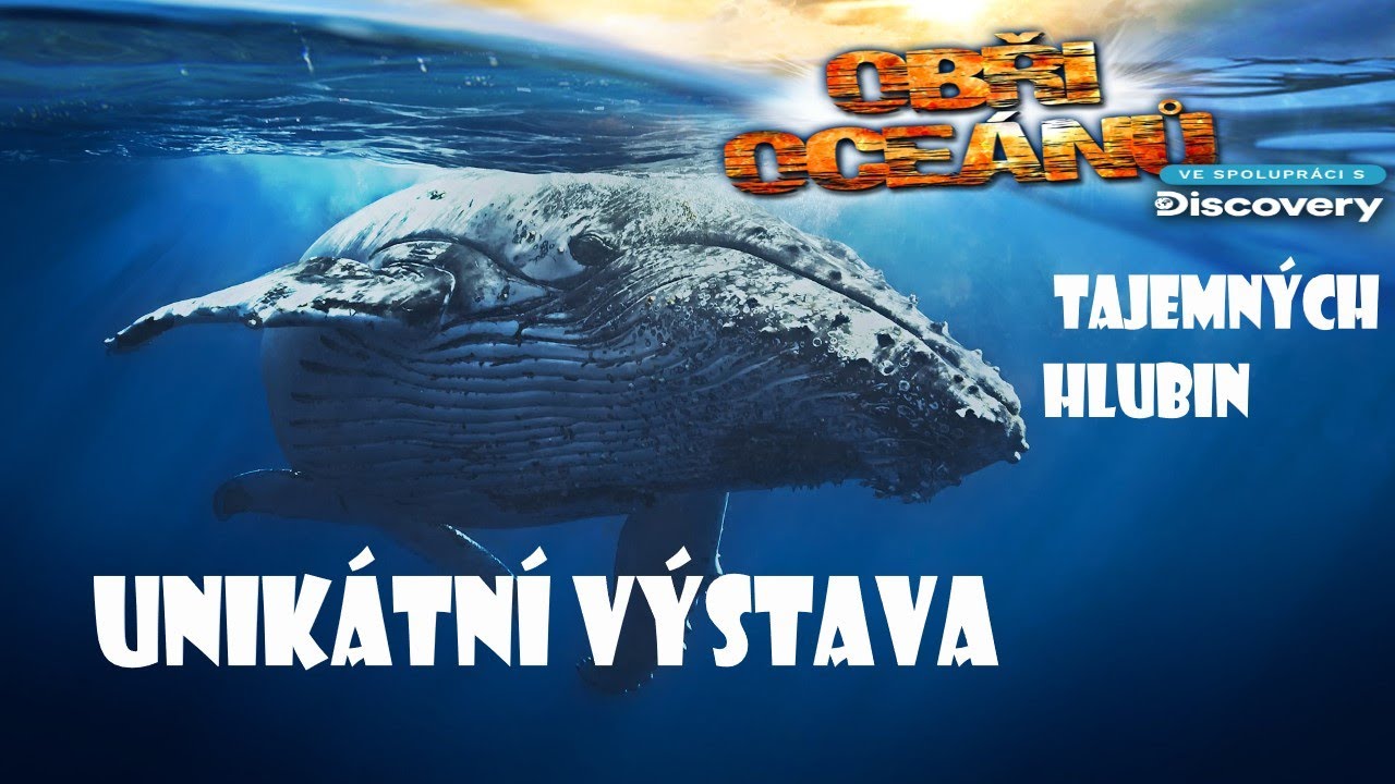 Obři Oceánů - unikátní výstava tajemných hlubin světových oceánů
