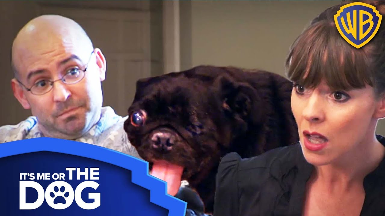 Victoria Walks Out During Argument About Foster Pug | Warner Bros. TV