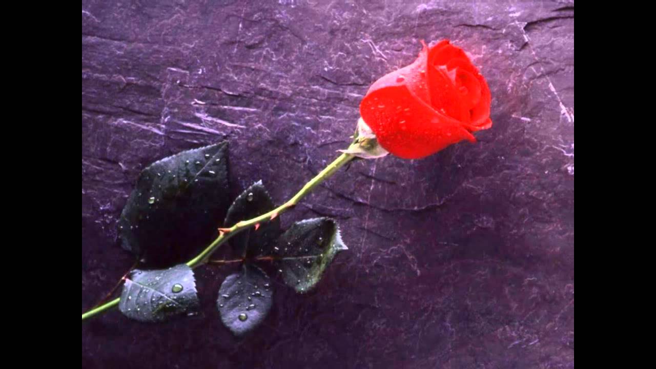 Poison- Every rose has its thorn (guitar backing track bret michaels voice)