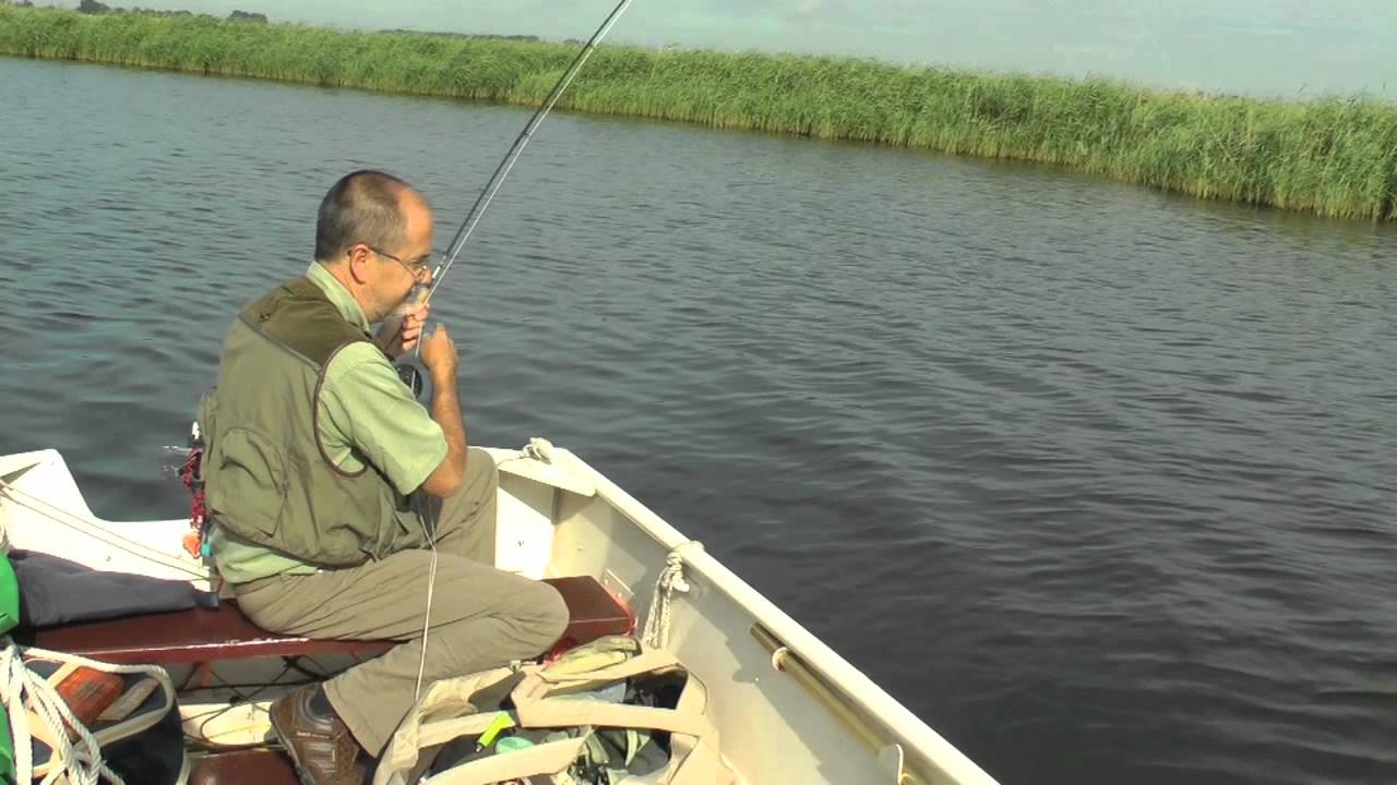 Vliegvissen met Hans Kluken op het Uitgeestermeer