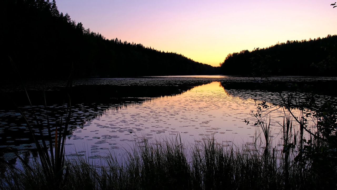 Golden Hour at Finnish lake