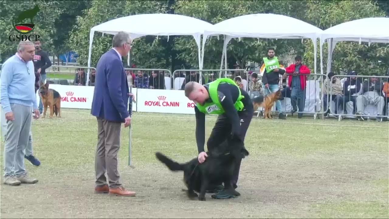 Pakistan Siger Show 2024 Day 1