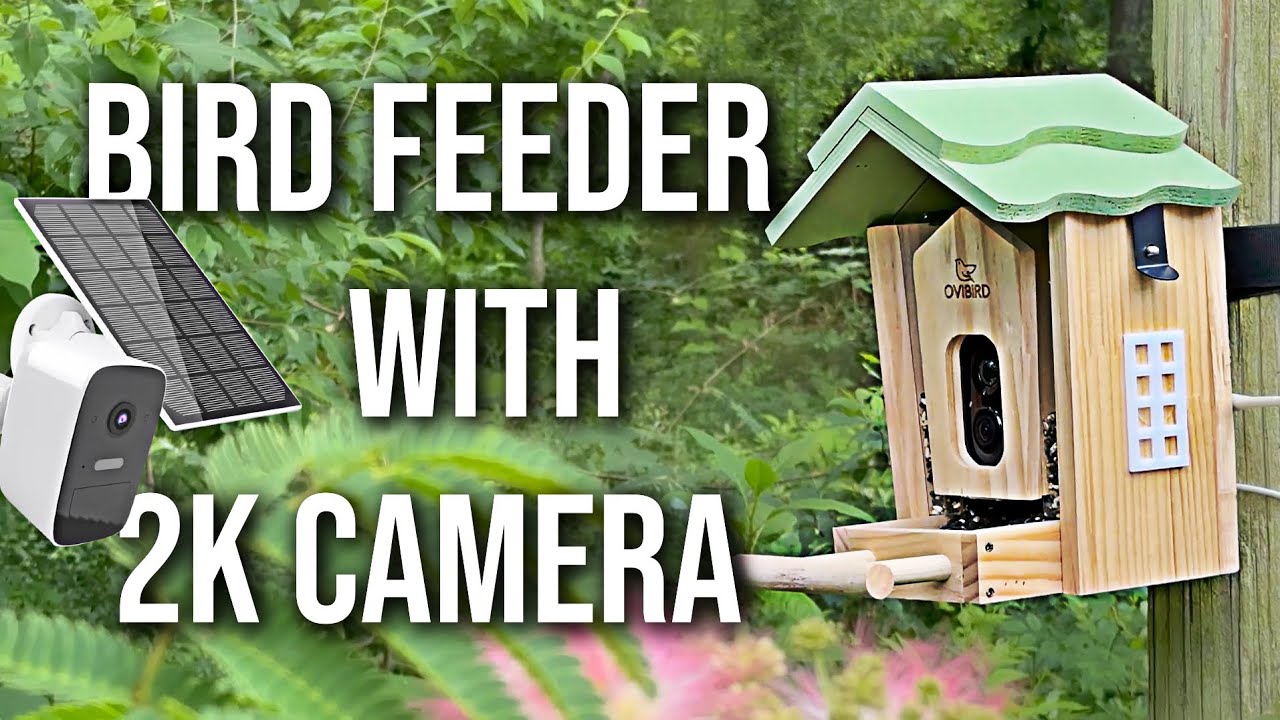 Bird house Camera, it's made of wood. #ovibird