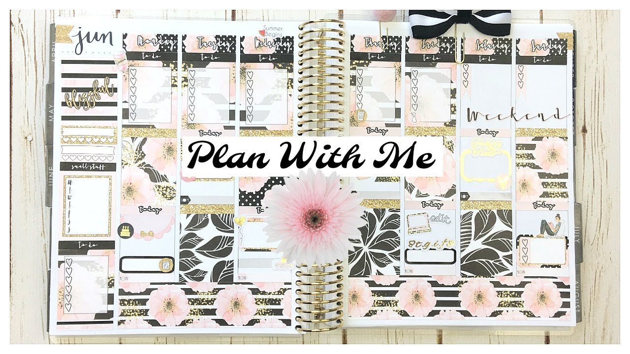 Plan With Me: Blissful | Erin Condren June 2017