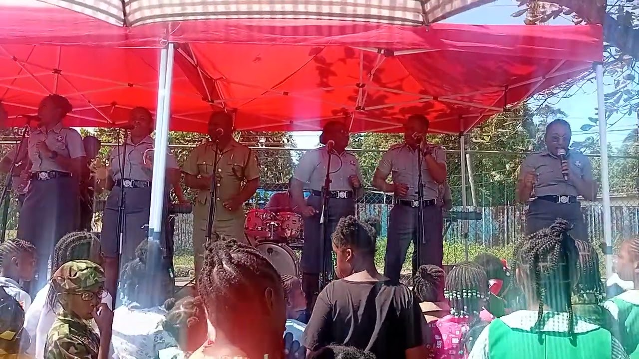 Career day at Tulloch primary  school