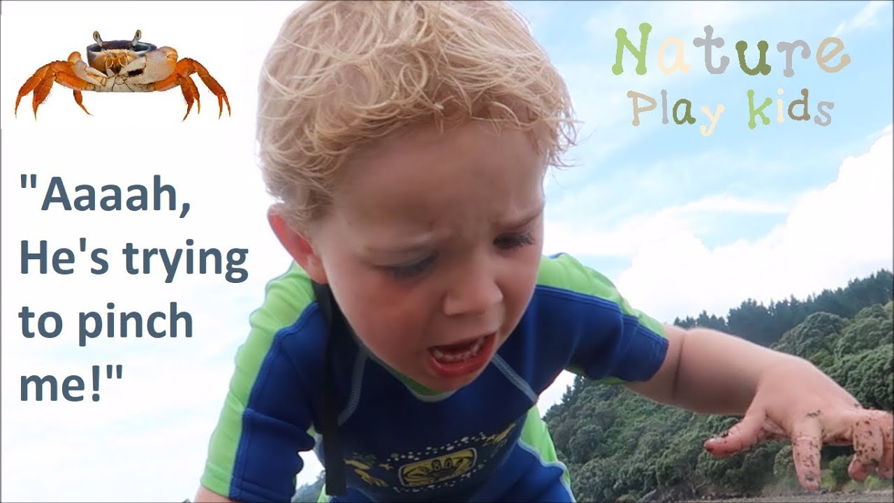 Finding pinchy crabs on a MUDDY beach