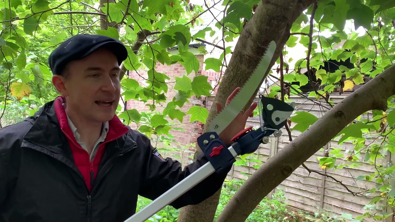 Pruning Trees with the Spear & Jackson Super Long Reach Cutter