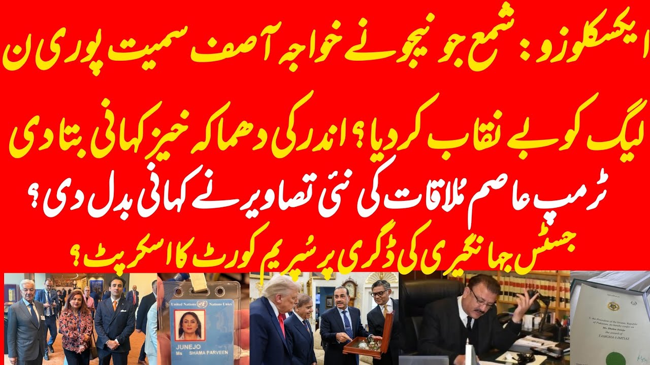 EXCLUSIVE: What is the inside story of Shama Junejo vs Khawaja Asif and PM Shehbaz Sharif position?