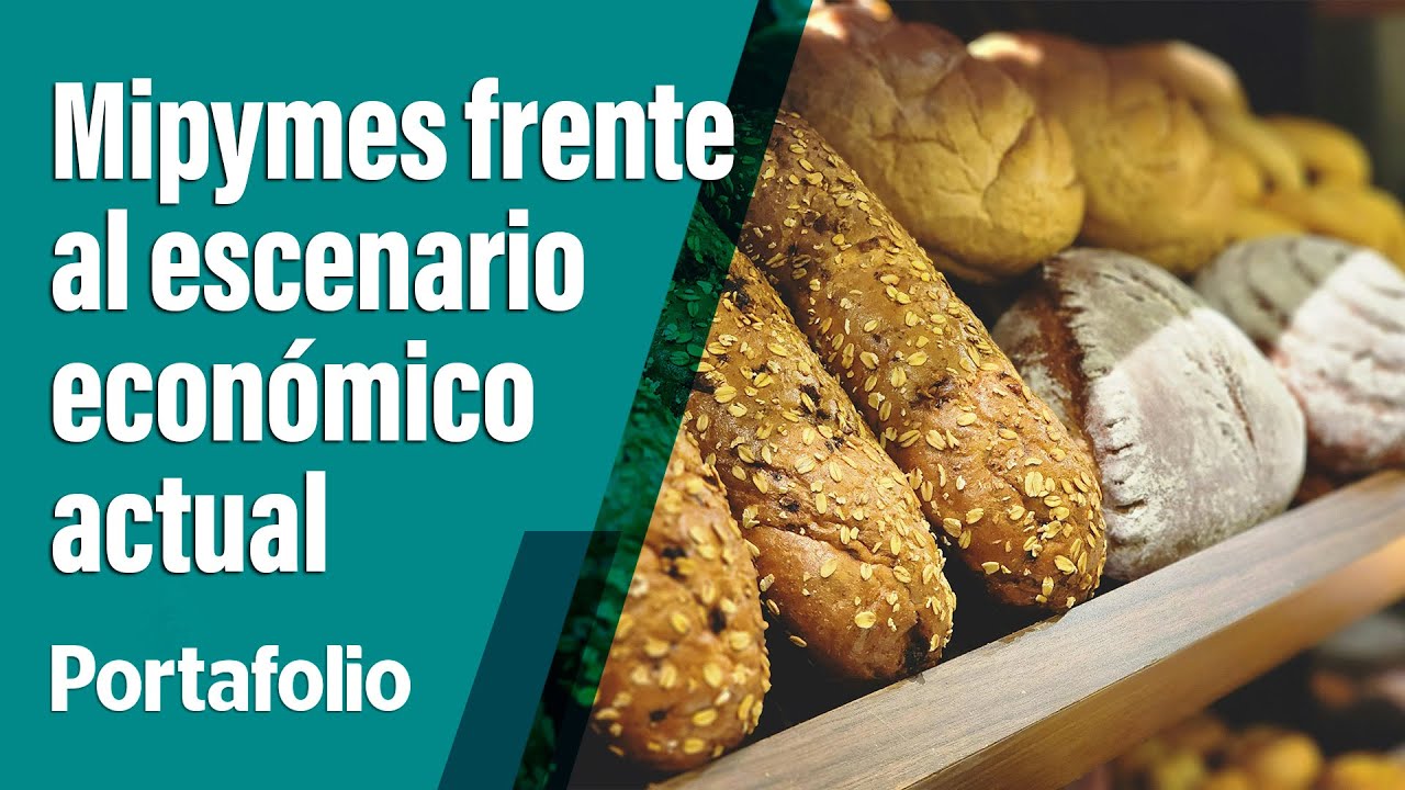 El futuro de las mipymes en medio de la coyuntura económica | PORTAFOLIO