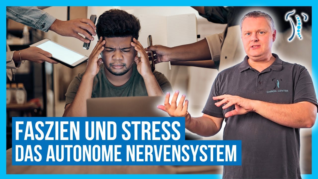 Faszien und Stress: Wie das Autonome Nervensystem die Spannung beeinflusst