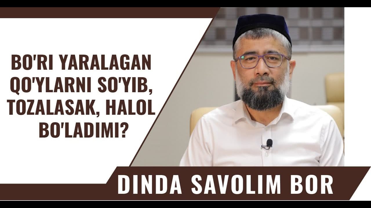 Bo'ri yaralagan qo'ylarni so'yib, tozalasak, halol bo'ladimi? |@MubashshirAhmad