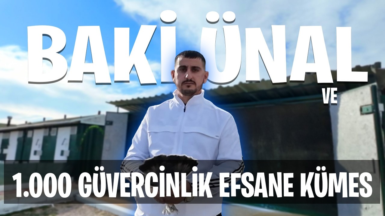 1000 Adet Güvercin, Sayısız Kümesin Bulunduğu Efsane Güvercin Kümesi - Baki Ünal Kümes Ziyareti