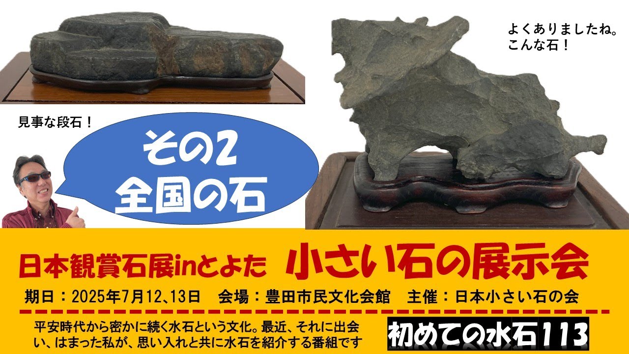 初めての水石113　日本観賞石展inとよた　小さい石の展示会　その2