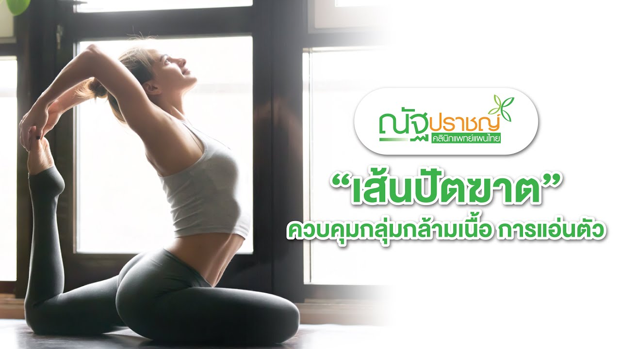 EP.10 เส้นปัตฆาต ควบคุมกลุ่มกล้ามเนื้อ การแอ่นตัว