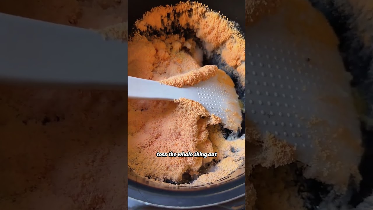 Is this mold poisonous?#Science #Facts #FoodSafety #DidYouKnow #Shorts