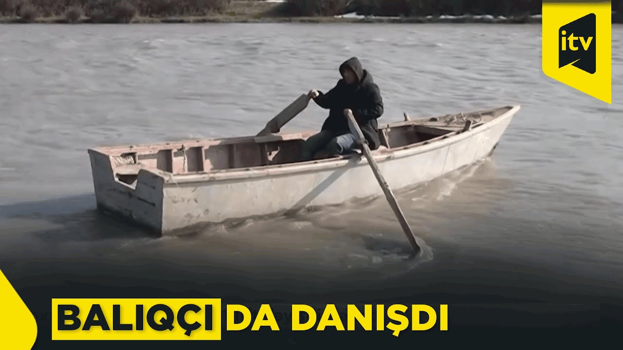 Satıcı: Yerli balıqlar qıtdır