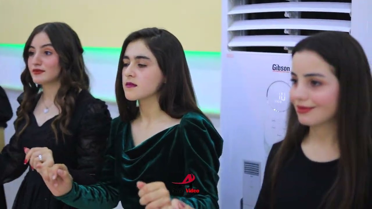 حفلة زفاف رياض و نسرين الفنان زيدان شنكالي تصوير امل فيديو  6