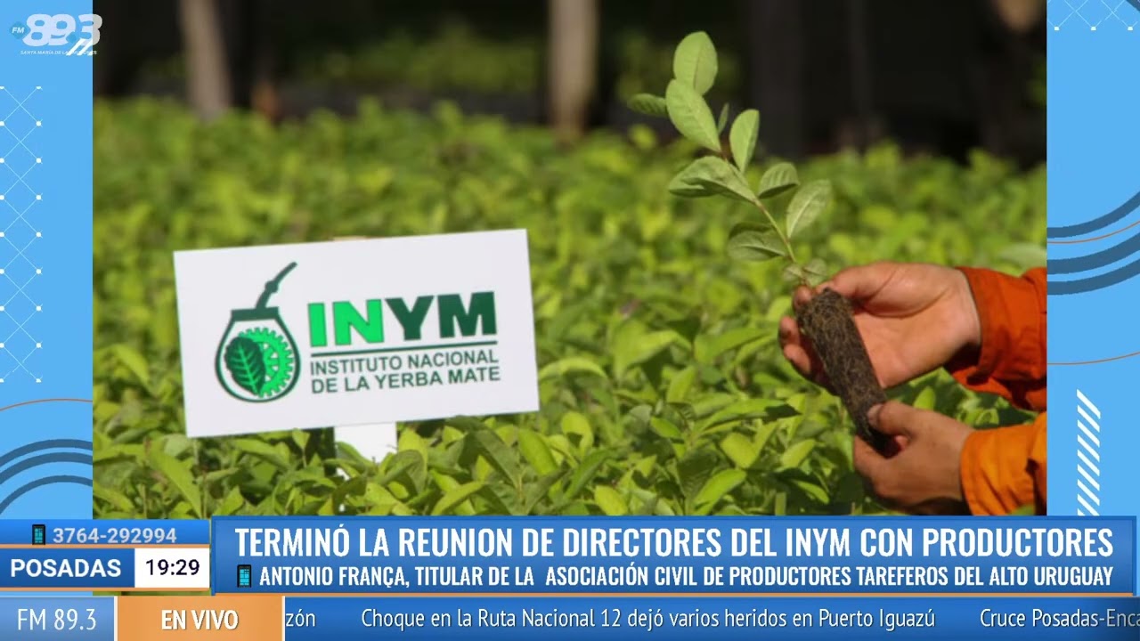 Productores yerbateros advierten un posible cese de cosecha tras reunión del INYM en Campo Viera