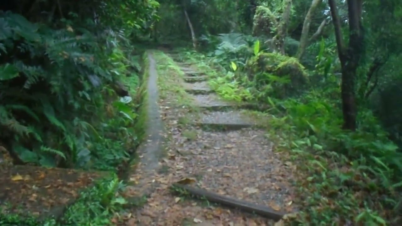 20260120台北大縱走第六段_福州山公園下方往中埔山步道實錄