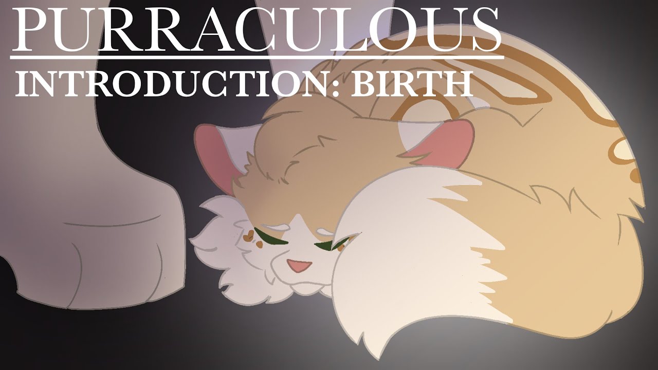 Introduction: Birth | Purraculous Episode 1