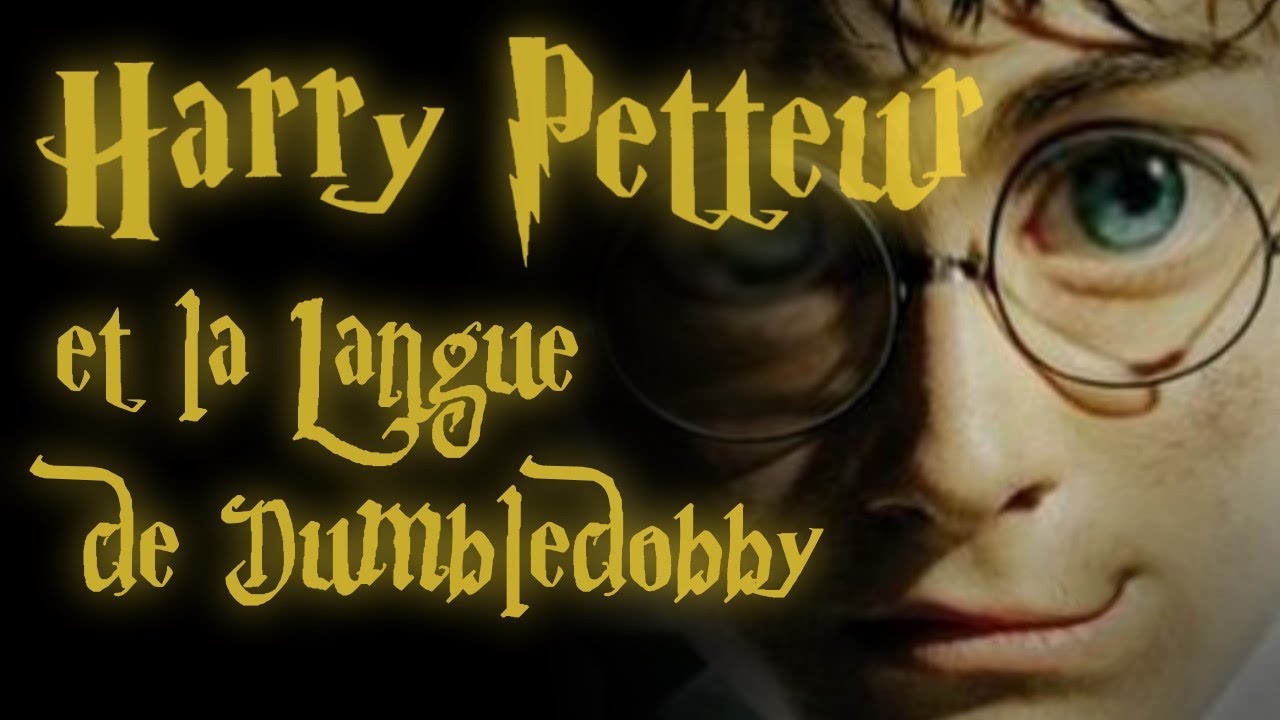 [YTP]fr - Harry Petteur et la Langue de Dumbledobby