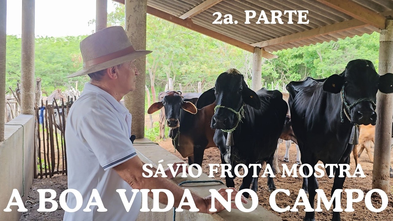 AS LIÇÕES DE SÁVIO FROTA PARA QUEM VIVE E TRABALHA NO CAMPO