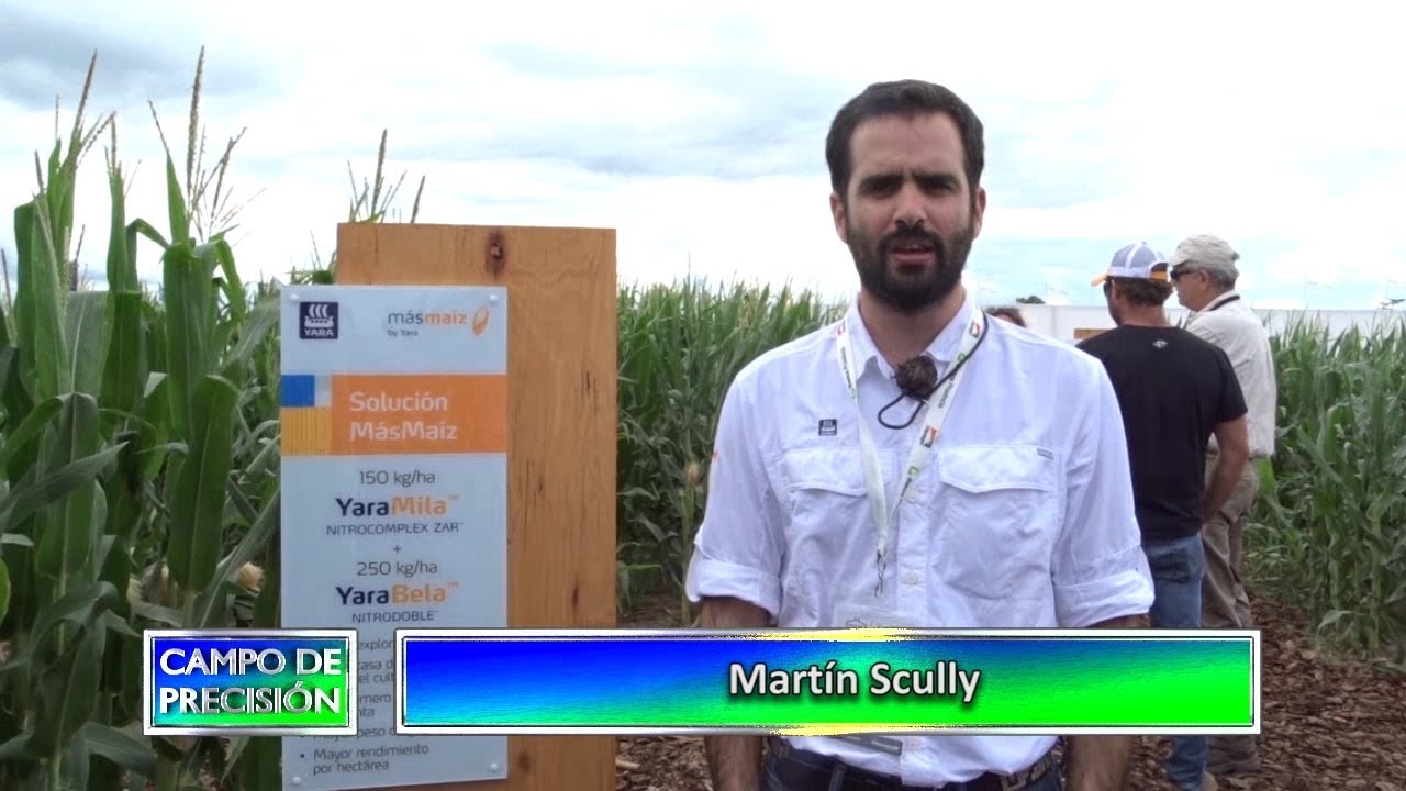 P576B3 – Programa “más maíz” de Yara