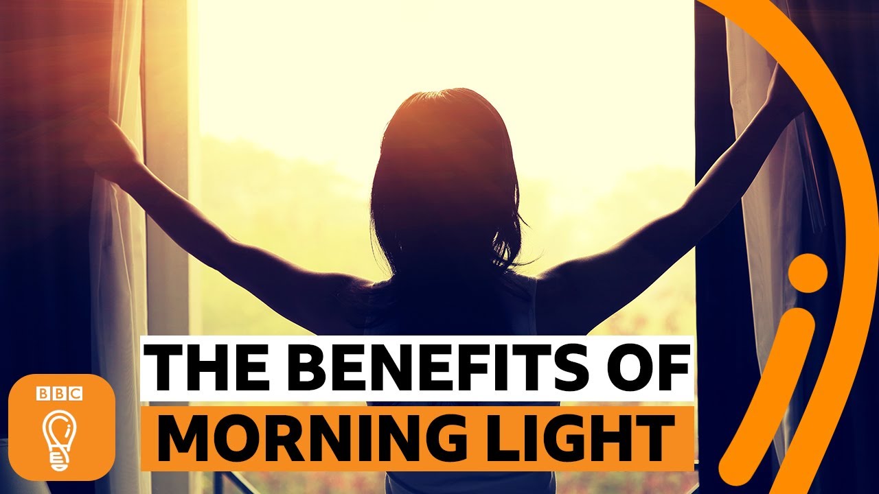 Why is morning light so important? | BBC Ideas
