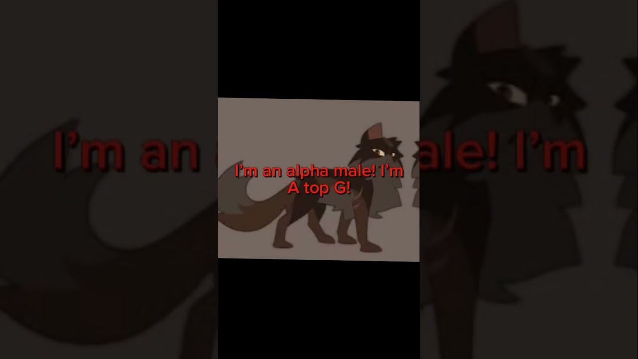 Raggedstar version￼