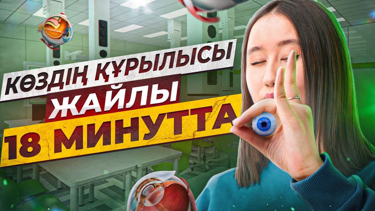 Көздің құрылысы жайлы 18 минутта | ҰБТ Биологиядан 2026 | ЕНТ