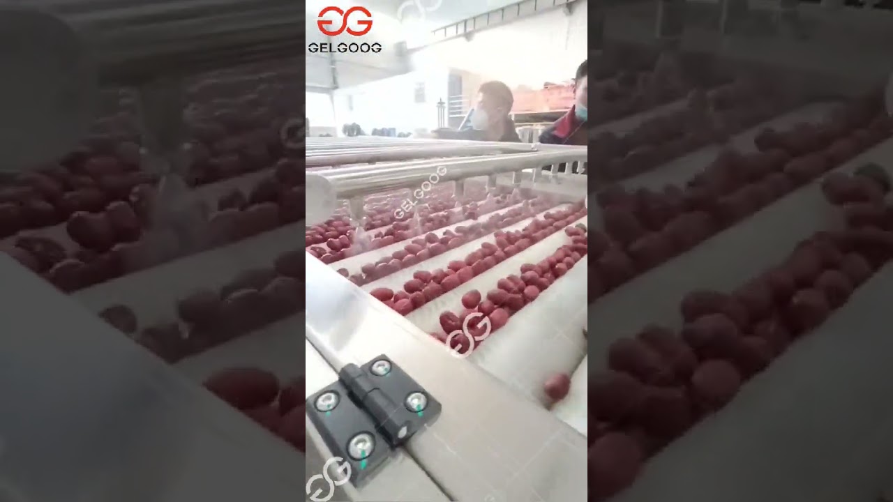 Dates Washing Drying Sorting Machine Line #dates #washing #line