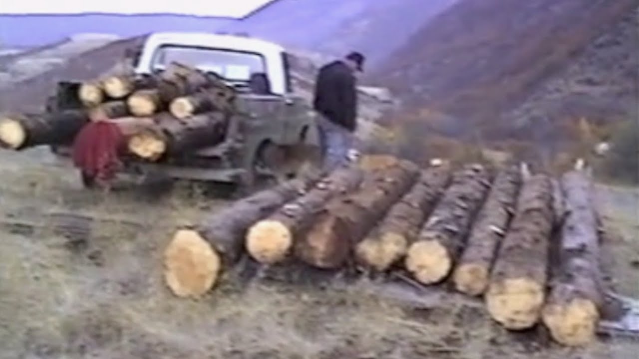 Logging