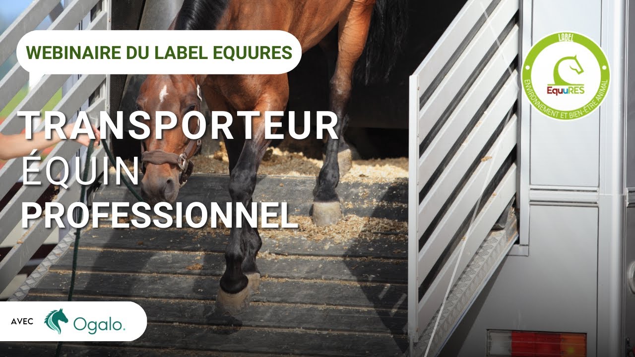 Webinaire : Faire appel à un transporteur équin