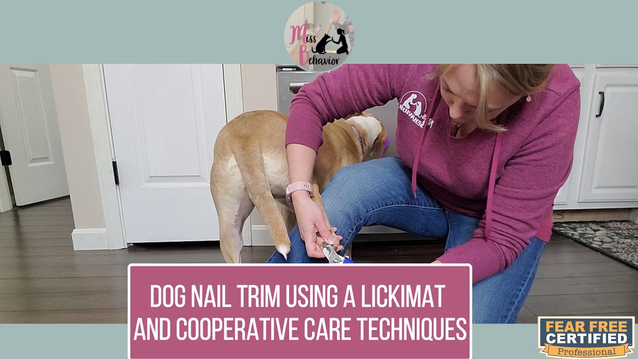 Fear Free Dog Nail Trim using the Lickimat