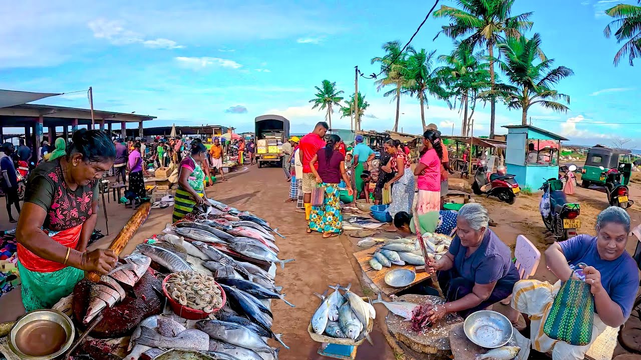 Wow! Attractive Traditional Village Fish Market: Women's Super Fish Cutting Skills And Sales